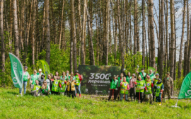GRASS и Fix Price высадили более 3 500 деревьев в Подмосковье в честь 80-летия Победы